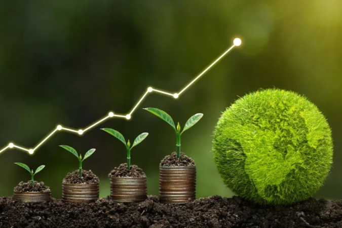 Startups de impacto socioambiental se destacam na transição para uma economia sustentável