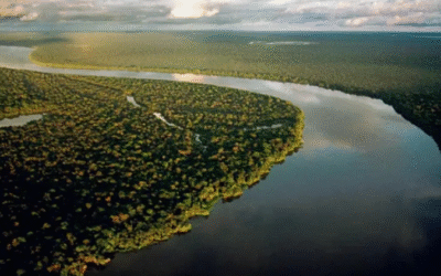 Justiça climática: da promessa global à ação local