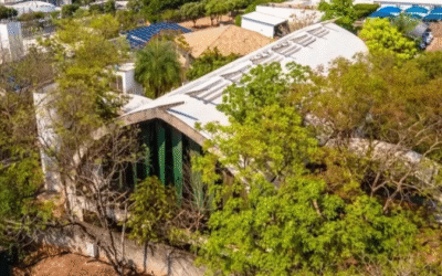 Centro Sebrae de Sustentabilidade lança novos cursos gratuitos