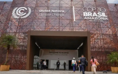 Sebrae cria Zona do Empreendedorismo na COP30