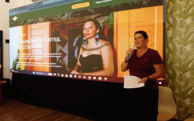 Portal do Sebrae de bioeconomia revela potencial do empreendedorismo da floresta