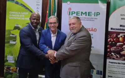 Sebrae reforça ações de cooperação internacional em missão a Moçambique
