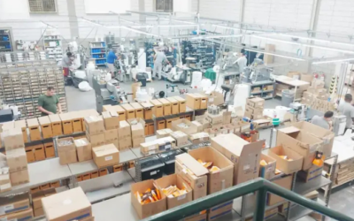 35% na redução de custos e 17% mais faturamento: o impacto do Brasil Mais Produtivo na Recom