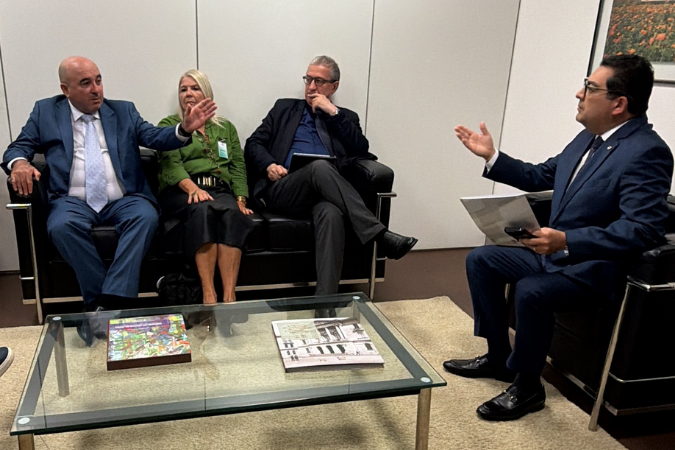 Fórum dos Conselhos de Profissões reforça alinhamento em reunião com TCU