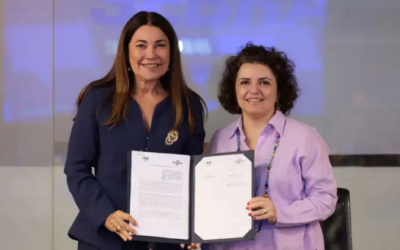 Plataforma gratuita vai fortalecer desempenho dos pequenos negócios em sustentabilidade