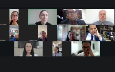 Comissão de Direitos Humanos avança na organização de conferência internacional e obra coletiva